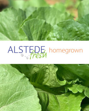 Alstede Fresh